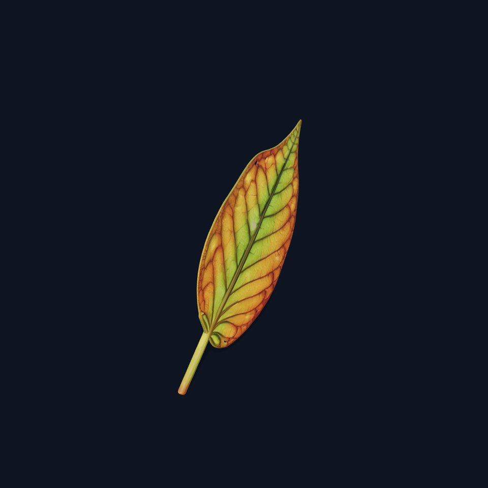 Vibrant Autumn Leaf model pack